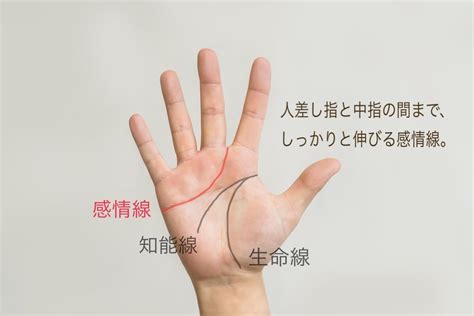 【手相占い】自分の知らない一面がまるわかり！裏性。